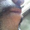 foto do perfil luis1979